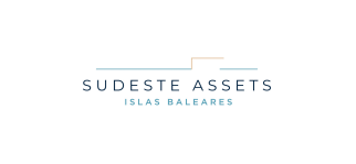 logo-sudesteassets